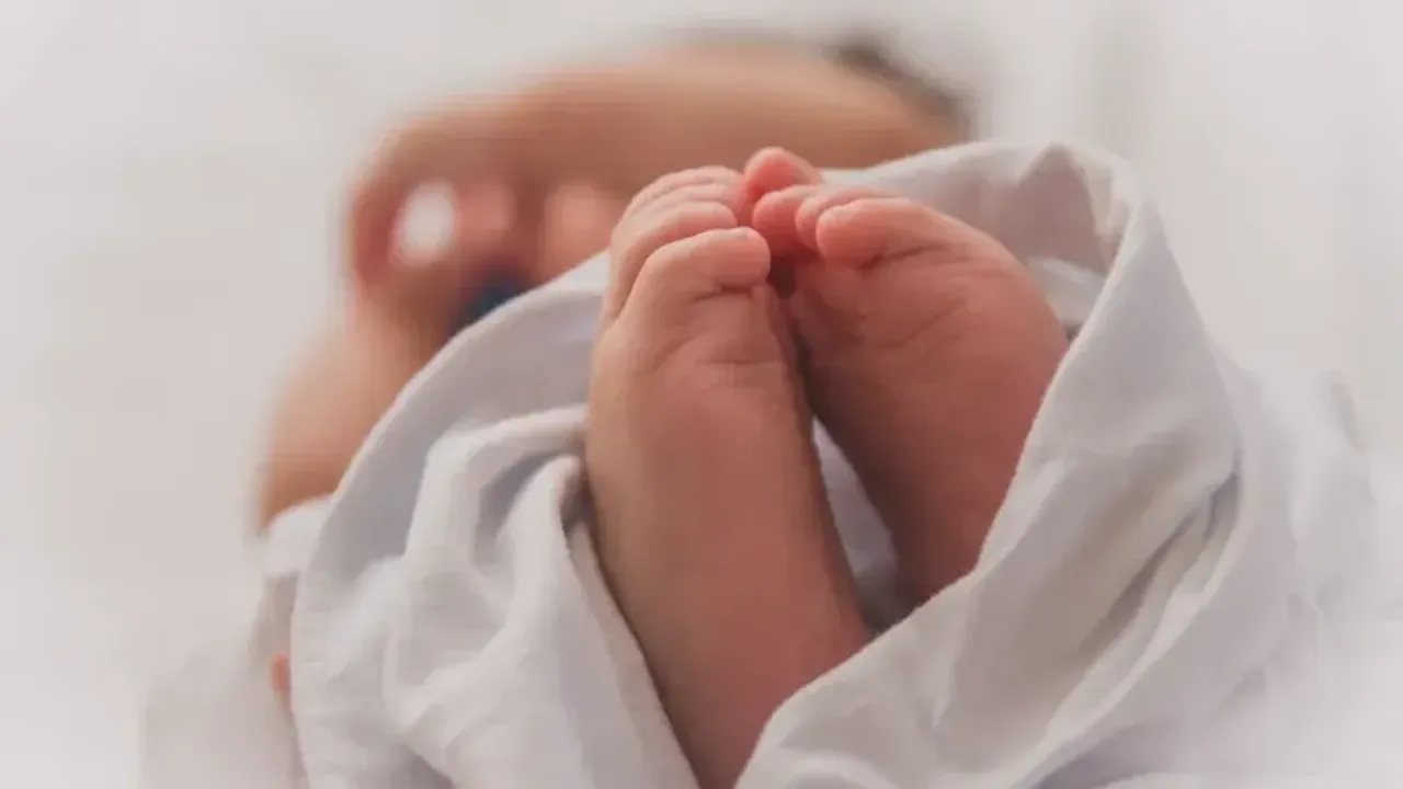 Doğurganlık Kırşehir'de hızla düştü