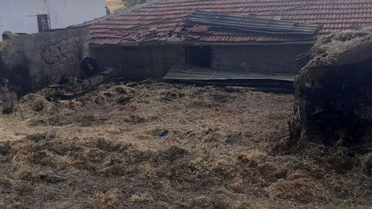 Yangının ardından yardım çağrısı yaptılar