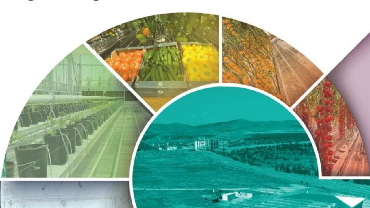 Jeotermal seracılık Kırşehir’de konuşulacak