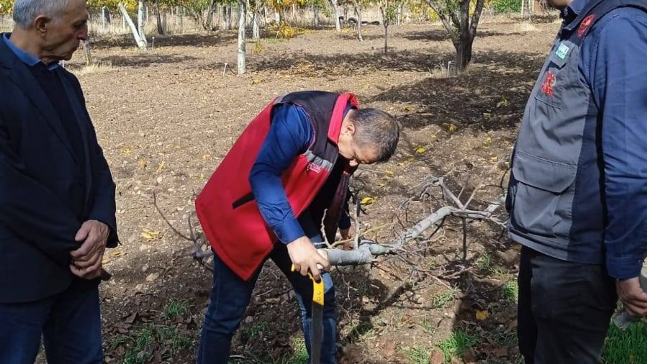 Ceviz Bahçelerinde eğitim!