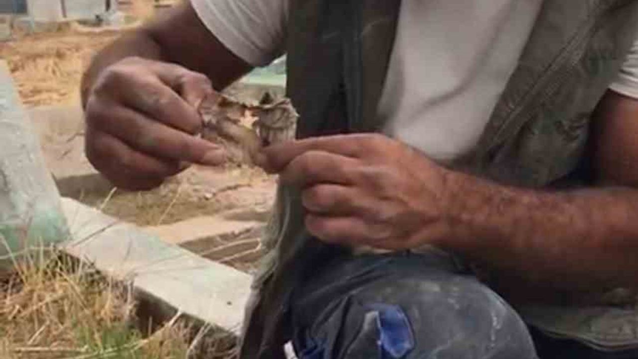 Gören şaşkına döndü!