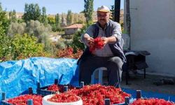 İç Anadolu'nun Kırmızı Altını