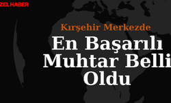 Kırşehir'in en çalışkan muhtarı belli oldu!