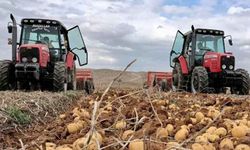 Patates Nevşehir’in hasat Kırşehir’in !