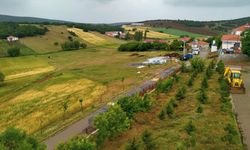 Burası Karadeniz değil !