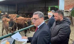 Özbağ’da hayvancılığa değer katılacak