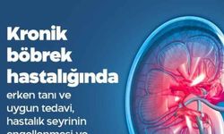 Kronik böbrek hastalığında erken tanı ve tedavi