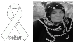 Değirmenözü Köyü yasta