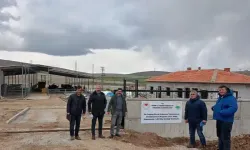 Kırşehir'in yeni süt işletmesi!