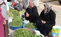 Kırşehir pazarlarında madımak zamanı