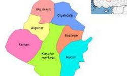 İşte Başkanların meslekleri!
