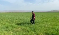 Bilimsel çalışmalar devam ediyor