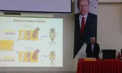 Kırşehir'de Arıcılık Faaliyetleri ve Bal Üretimi ele alındı