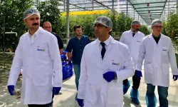 Kırşehir'de Jeotermal Sera incelemesi