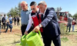 Kırşehir'de Bozkır yeşeriyor projesi