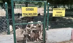 Kırşehir'de onlar güvenilir ellerde