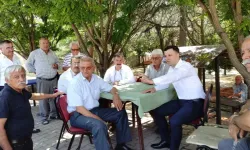 Kaman'ın cevizinde bereket fışkırıyor