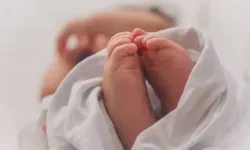 Doğurganlık Kırşehir'de hızla düştü
