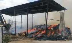 Meclis üyesinin besi çiftliğinde yangın çıktı