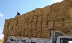 Kırşehirli besicilere kötü haber!