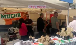 Mucur stantta yerini aldı!