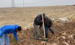 Kırşehir'in o köyünde yeşillendirme devam ediyor