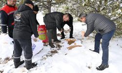 Kırşehir Belediyesi harekete geçti