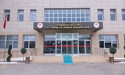 İşgücü Uyum Projesi ile yeni istihdam kapısı açılıyor