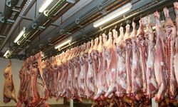 Kırşehir’de et kesim fiyatları değişti