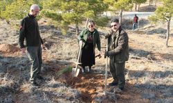 Kırşehir’de “Nefes Alan Kırşehir’e Nefes Veriyor” projesi