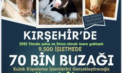 Kırşehir’de 70 bin buzağının kulak küpesi takılacak