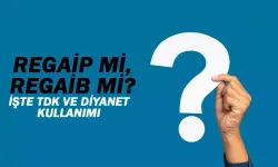 Regaib mi?, Regaip mi? TDK'nın cevabı