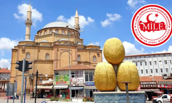 O Köyün Konağı İhaleye Çıkıyor!