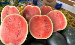 Kırşehir sofralarını şenlendire karpuz kilosu 7 TL’den alıcı buldu
