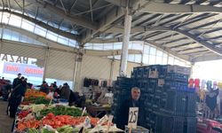 Mayıs ayında  hangi sebze ve meyveler ekilmeli?