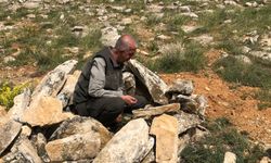 Kırşehir doğasında gizli yaşamlar takipte!