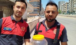 Mutfakta yılan operasyonu