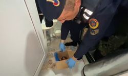 Jandarmadan evinde uy*şturucu yetiştiren şahsa operasyon