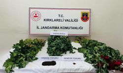 Kırklareli’nde uy*şturucu operasyonu: 8 gözaltı