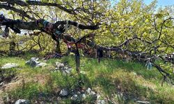 Akçakent’teki sırlı tepede bezler rüzgârla konuşuyor
