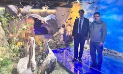 Doğanın izinde sürpriz buluşma