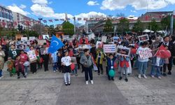 Kırşehir’de minik adımlar Gazze için yürüdü