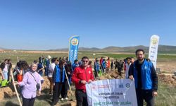 Kırşehir’de doğa yeniden canlanıyor