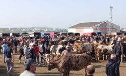 Kırşehir Canlı Hayvan Pazarı bayram süresince kapılarını açtı