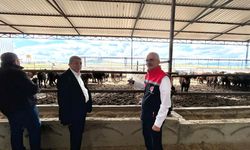 Kırşehir’de işletmelere yakın takip
