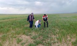 Afetin ardından Kırşehir'de mücadele başladı