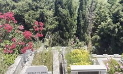 Arnavutköy’de mezarlıkta bebek ce*edi bulundu