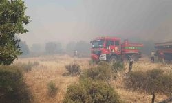 Çanakkale’de tarım arazisinde yangın