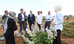 Erkan, KAEÜ'de bilim ve sağlık yatırımlarını inceledi