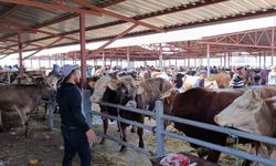 Kırşehir Hayvan Pazarı’nda son gün